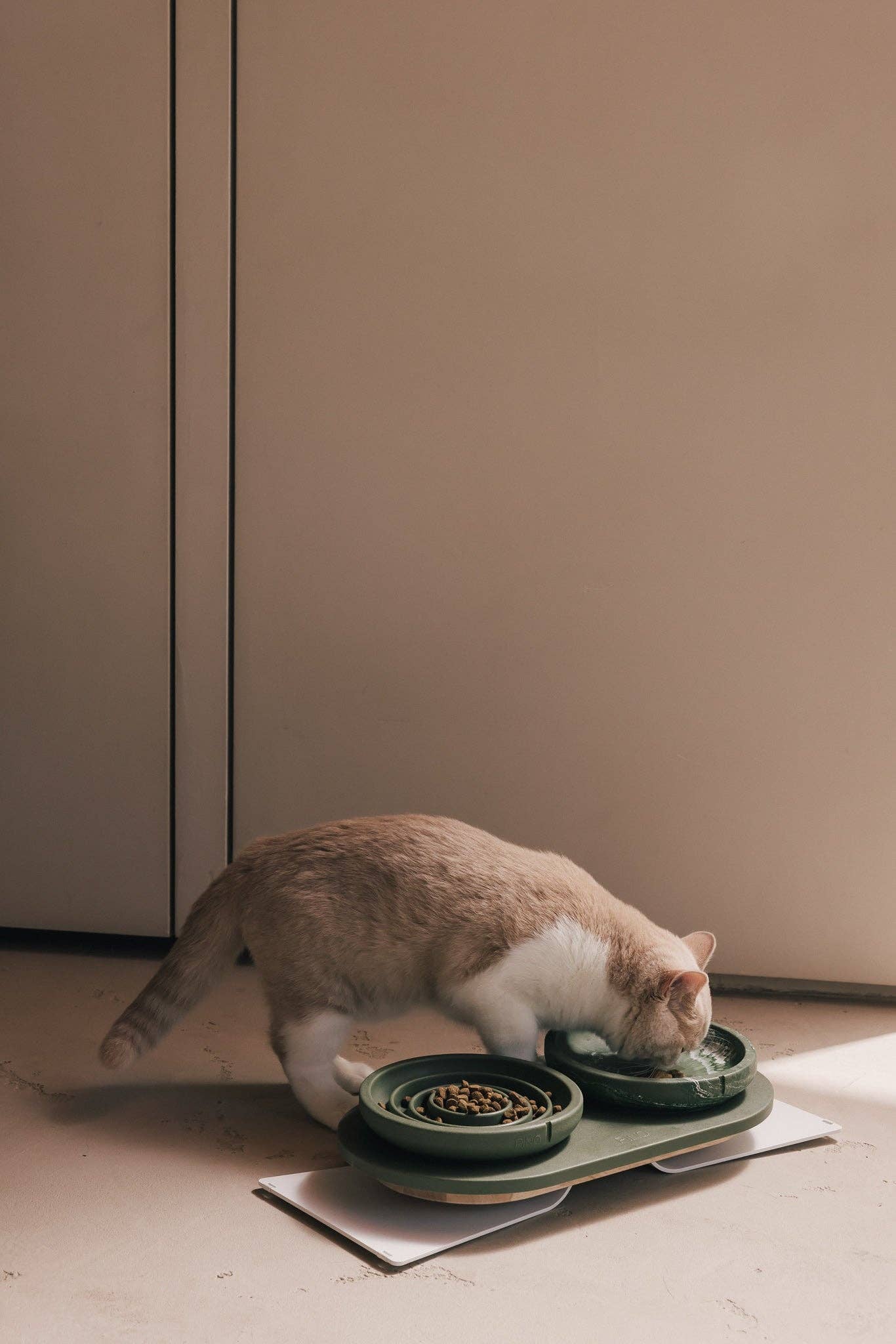 PINO - Wholesale Pet Bowl - Cat - Whisker Friendly Bowl8