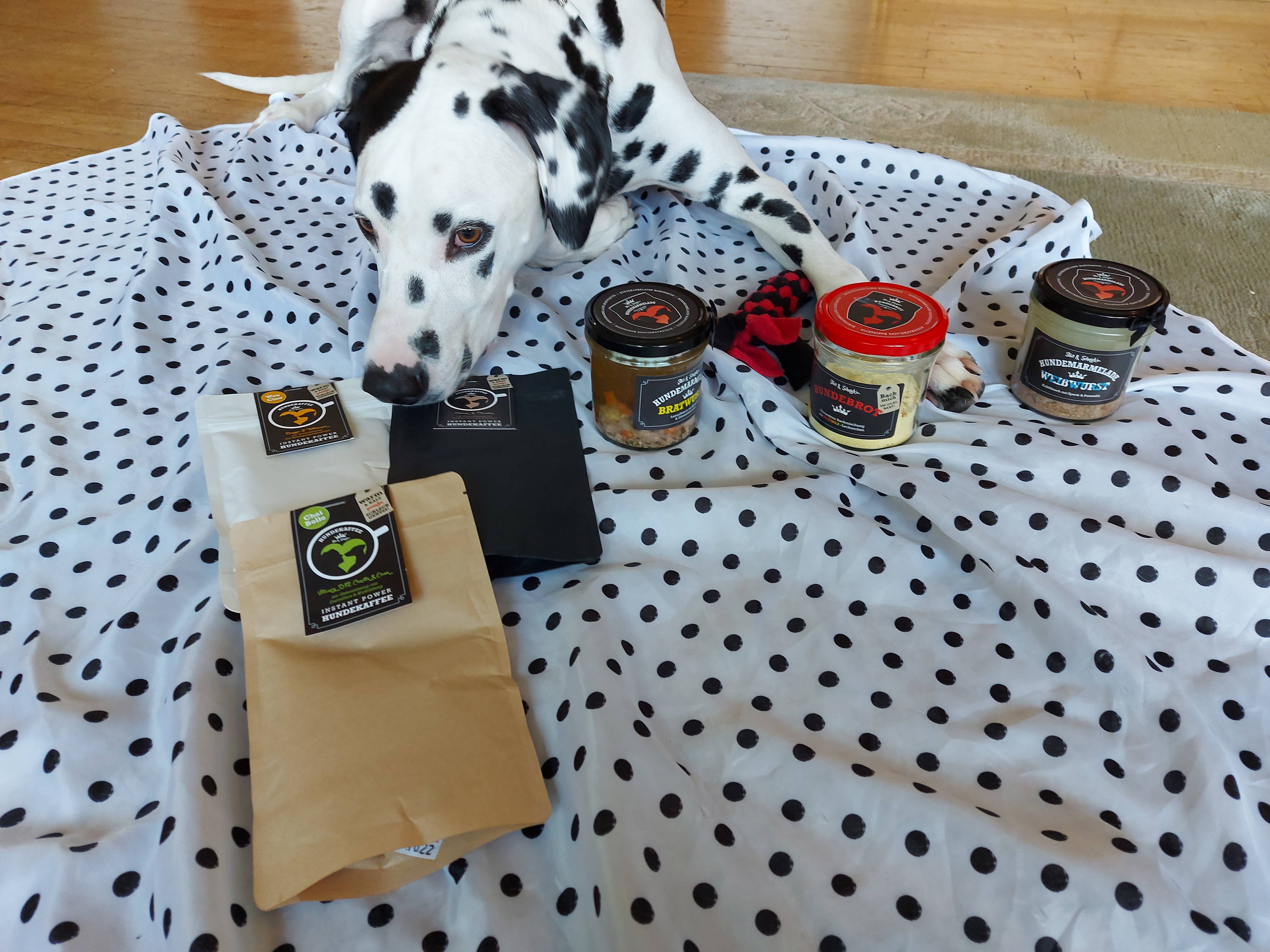 Meister Handelsmarken GmbH - Wholesale Pet Food - Dog - WAU CINO (instant power dog coffee)7