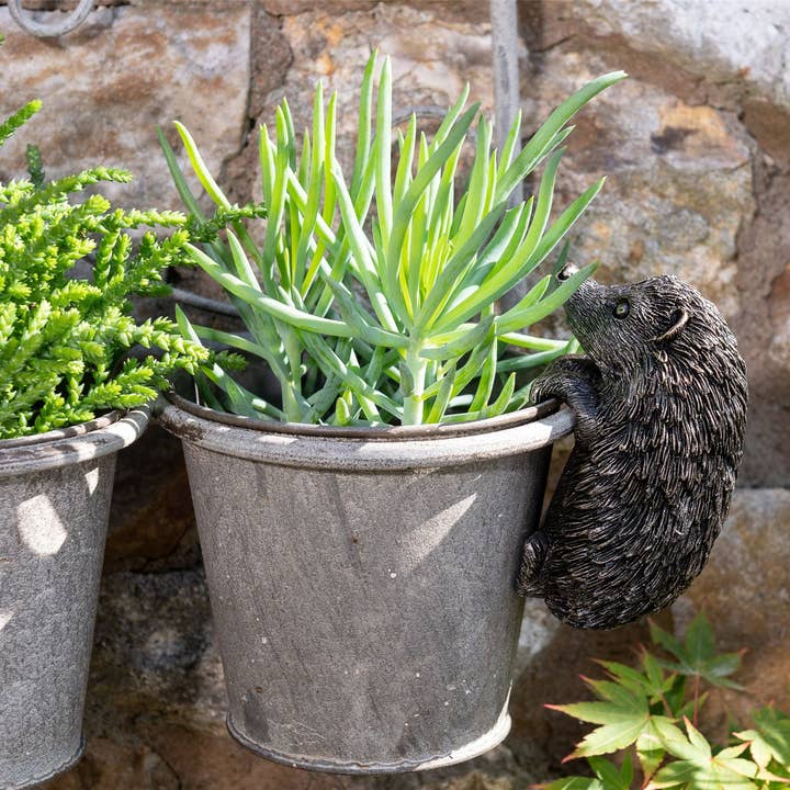 Hedgehog Plant Pot Hanger for wholesale by Jardinopia UK