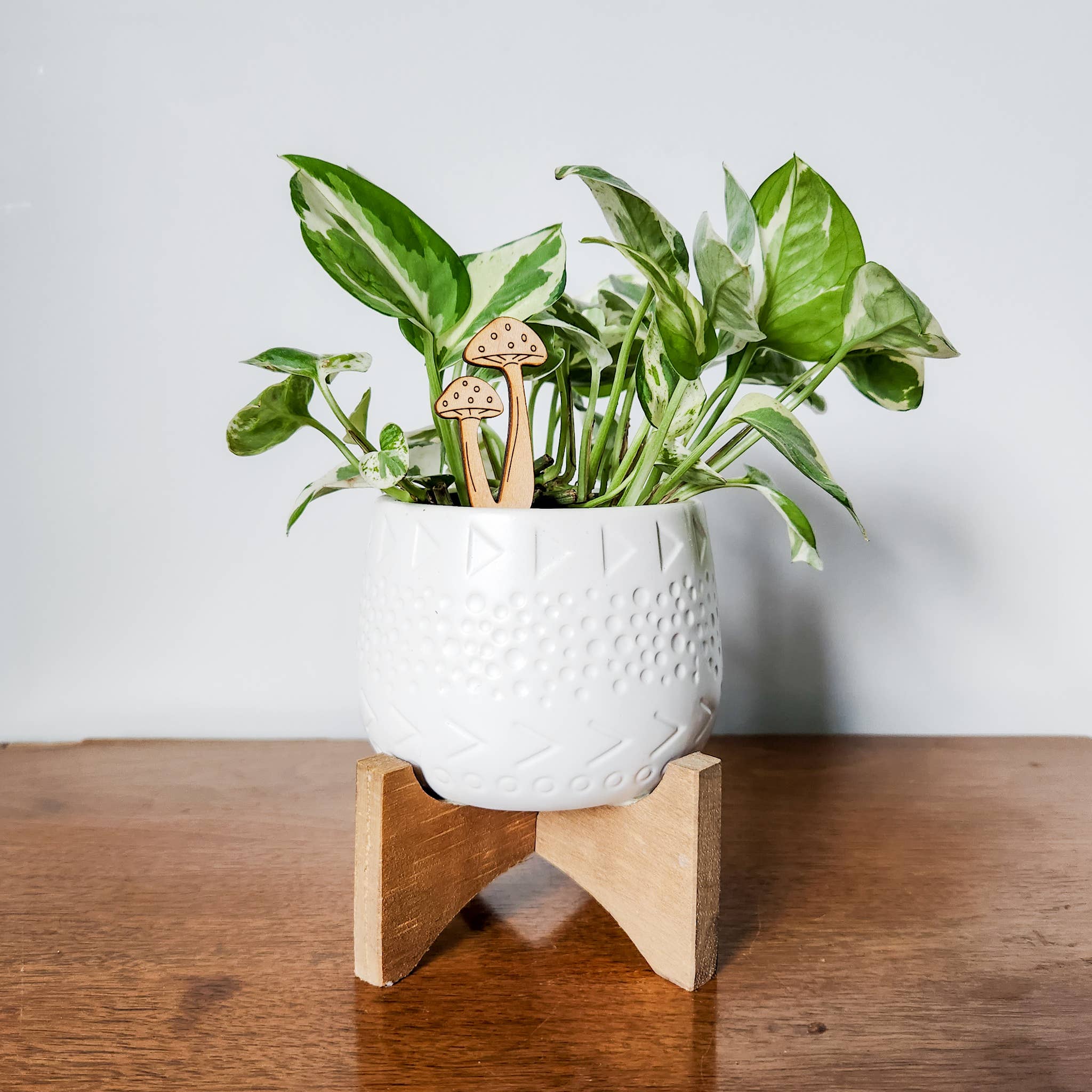 Leaf & Node - Wholesale Garden/Lawn Stake - Mushroom Decorative Houseplant Stake (Wood, 2 Sizes)2