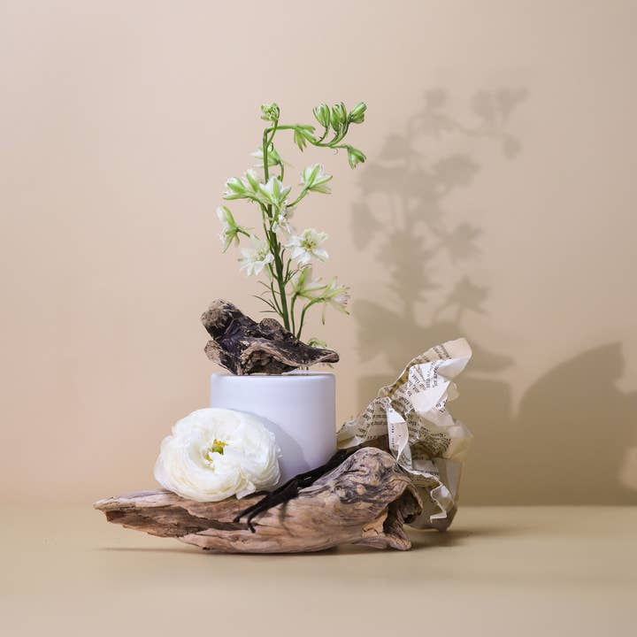 Whispers in The Library for wholesale by Lark Artisan Supply