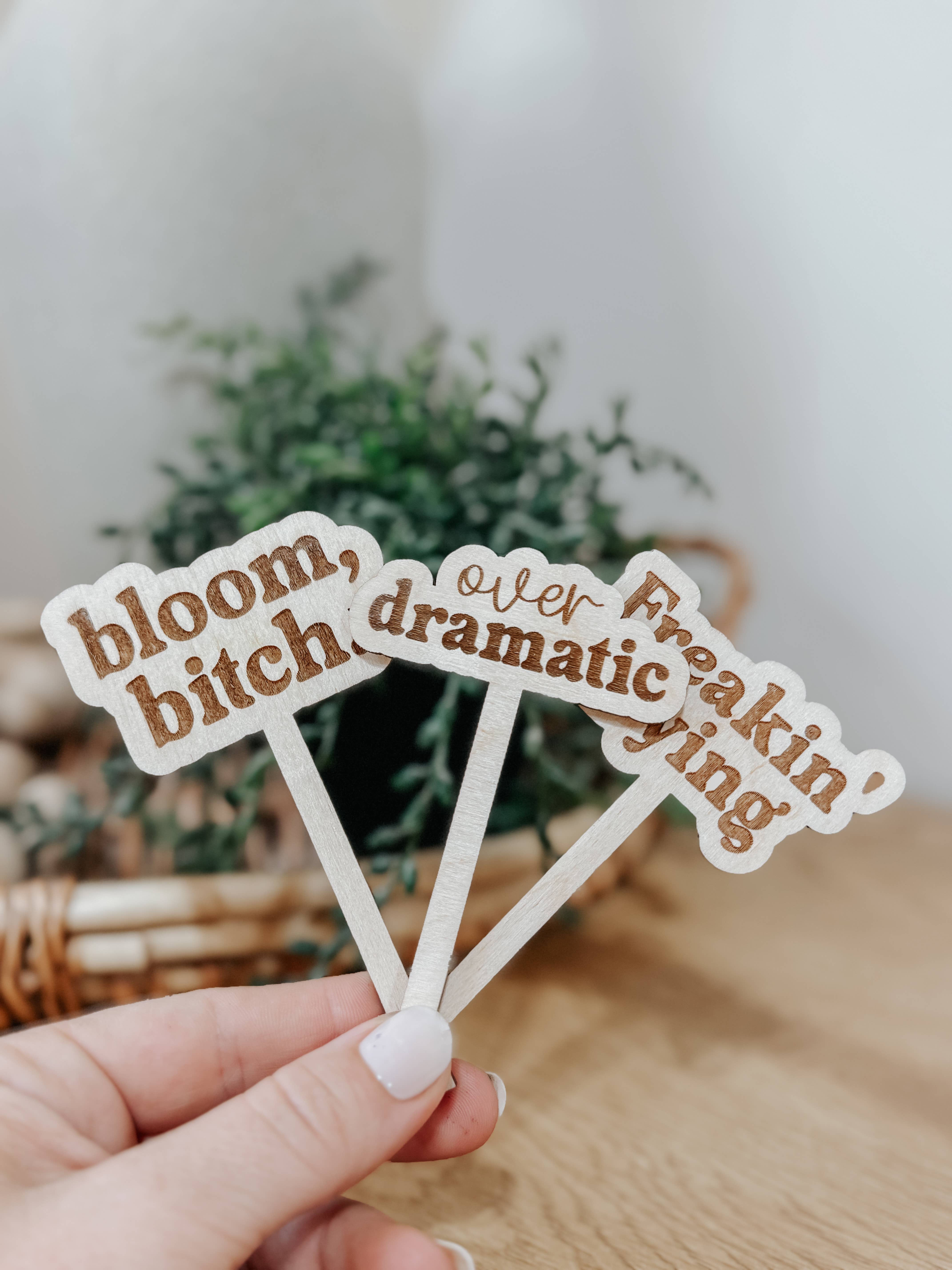 Arrow Town Designs - Wholesale Garden/Lawn Stake - Funny Engraved Plant Stakes – Set of Humorous Garden Markers0