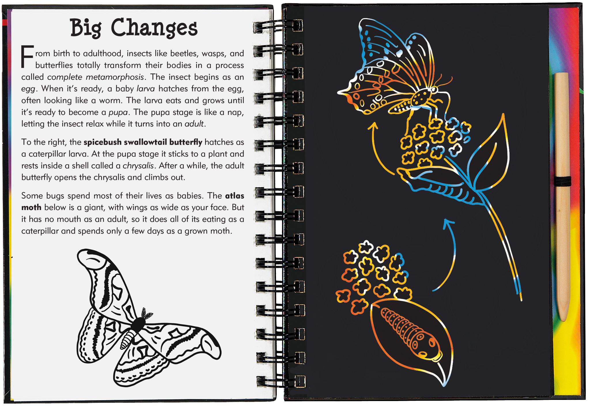 Peter Pauper Press - Vente Carnets de croquis - Bugs ! Gratte et Dessine2