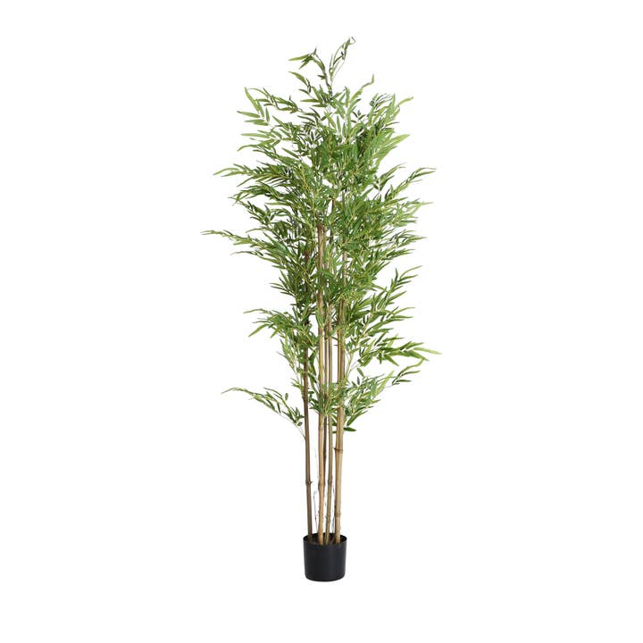 Kodu - Wholesale Artificial Plant - Bamboo plant, made of plastic in green color with black base