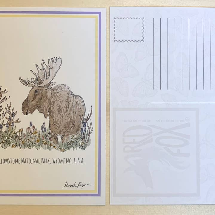 Red Fox Design Studio - Wholesale Postcard - Yellowstone Moose Postcard