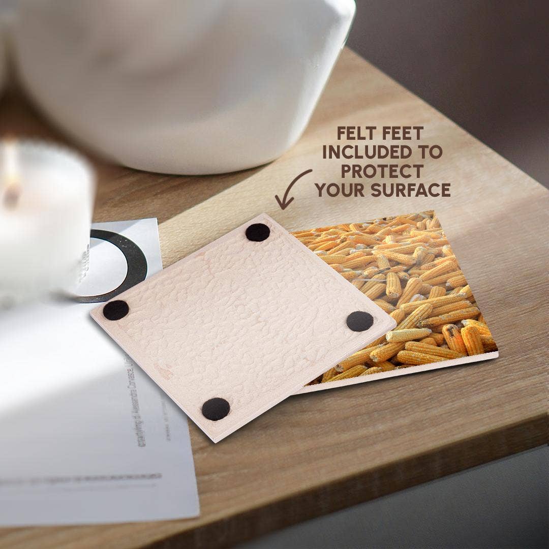 3dRose – wholesale Coasters – 3dRose, Raw Organic Husked Sweetcorn Seed Drying In The Sun, Coaster3