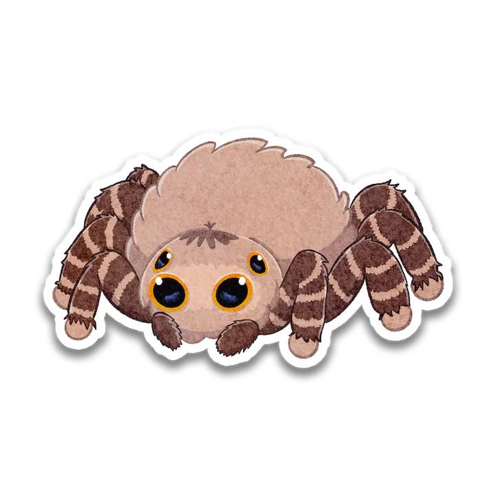Stick With Finn - Wholesale Sticker - Jumping Spider Sticker0