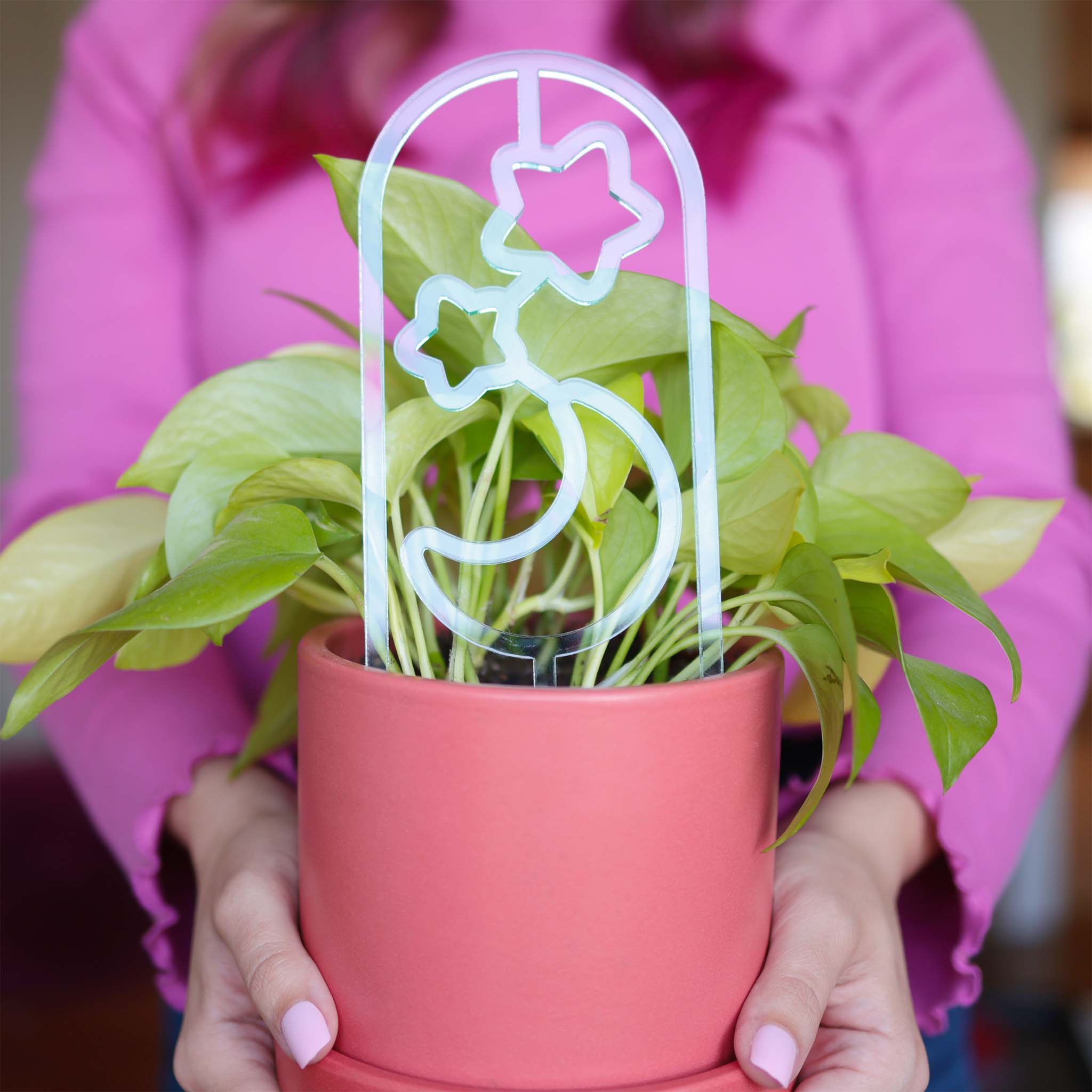 Verdant Moon - Wholesale Trellis - Moon and Stars — Acrylic Trellis (Plant Stake Support) — Clear, Black0