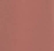 NLT - Vendita all'ingrosso Polo - Donna - Brooke Top3