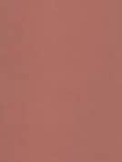 NLT - Vendita all'ingrosso Polo - Donna - Brooke Top3