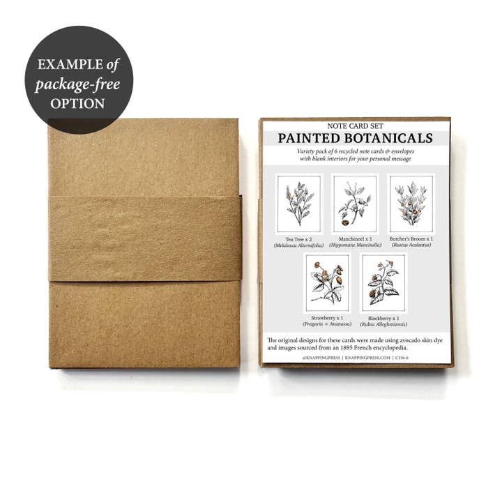 Knapping Press - Wholesale Stationery/Notecard Set - Set of 6 - 100% Recycled Painted Botanicals Card Collection13