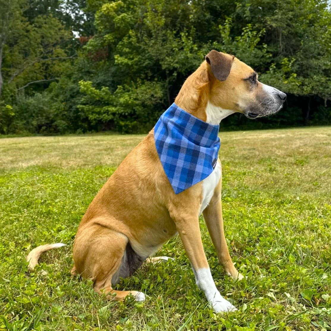 RUFFLECT Dog Bandanas - Vendita all'ingrosso Bandana - Cani - Bandana per cani Glacier Plaid Flannel RUFFLECT®9