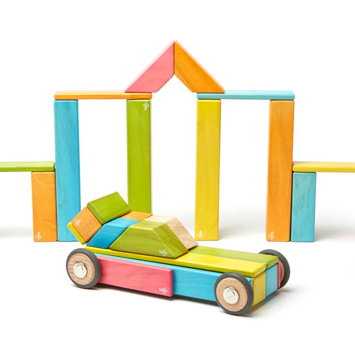 Tegu - Wholesale Building Set - Kids - 42 Piece Magnetic Wooden Block Set14