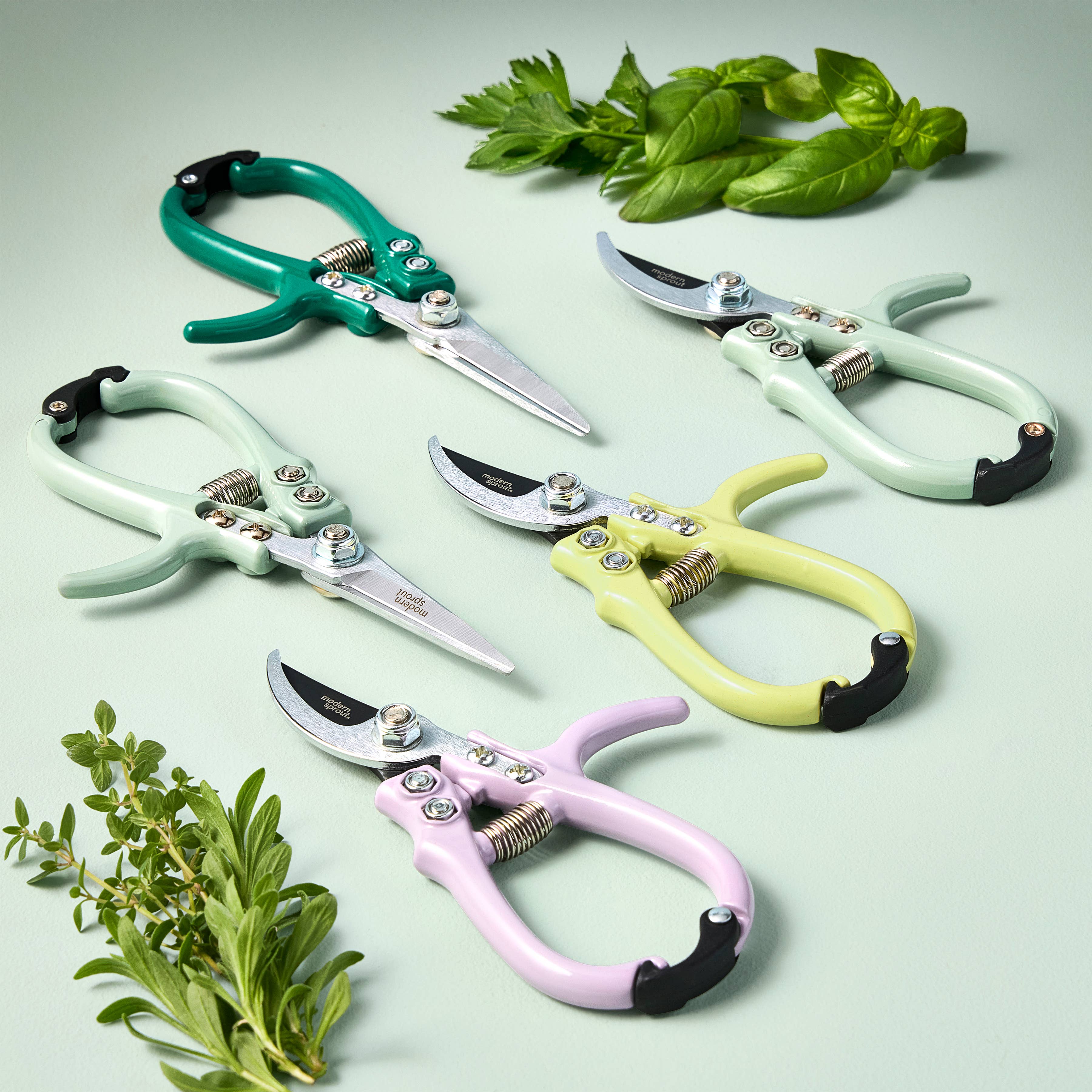 Modern Sprout - Wholesale Garden Tool - New Colors! Garden Shears 7