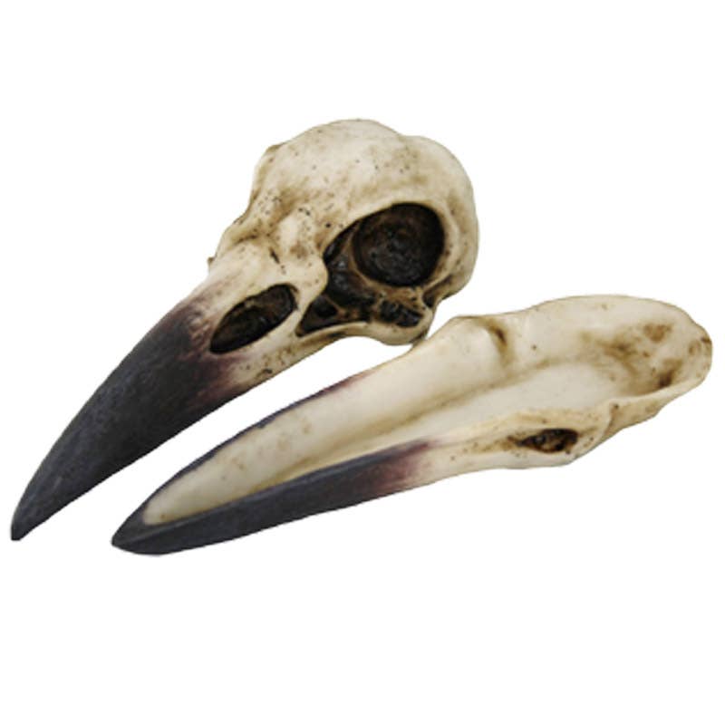 Pacific Trading – wholesale Decorative box – Raven Skull Box1