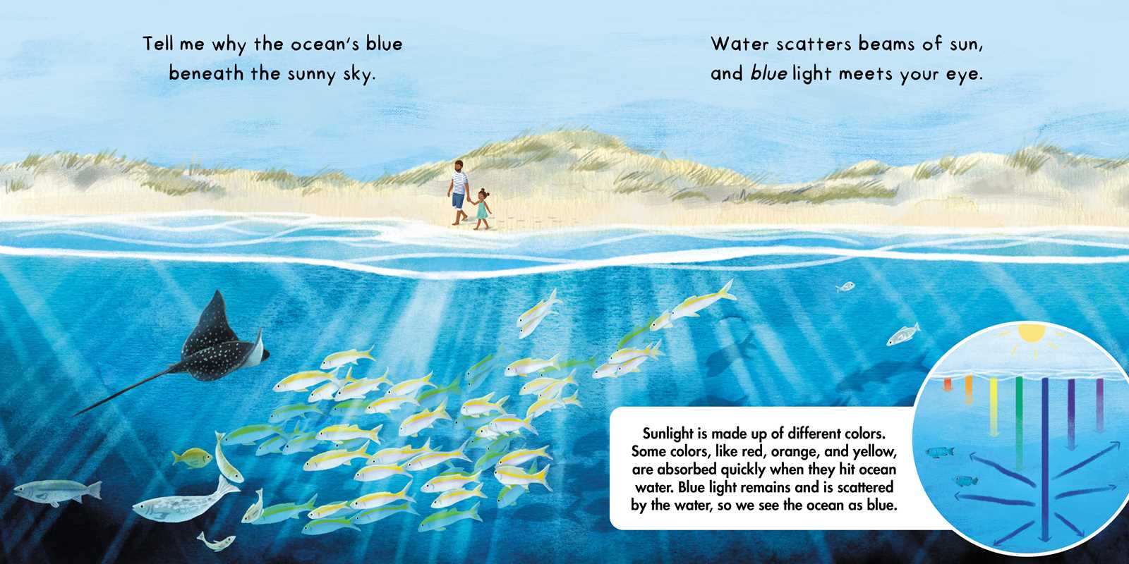 Simon & Schuster - Wholesale Nature & Outdoors - Tell Me About Oceans by Lisa Varchol Perron3