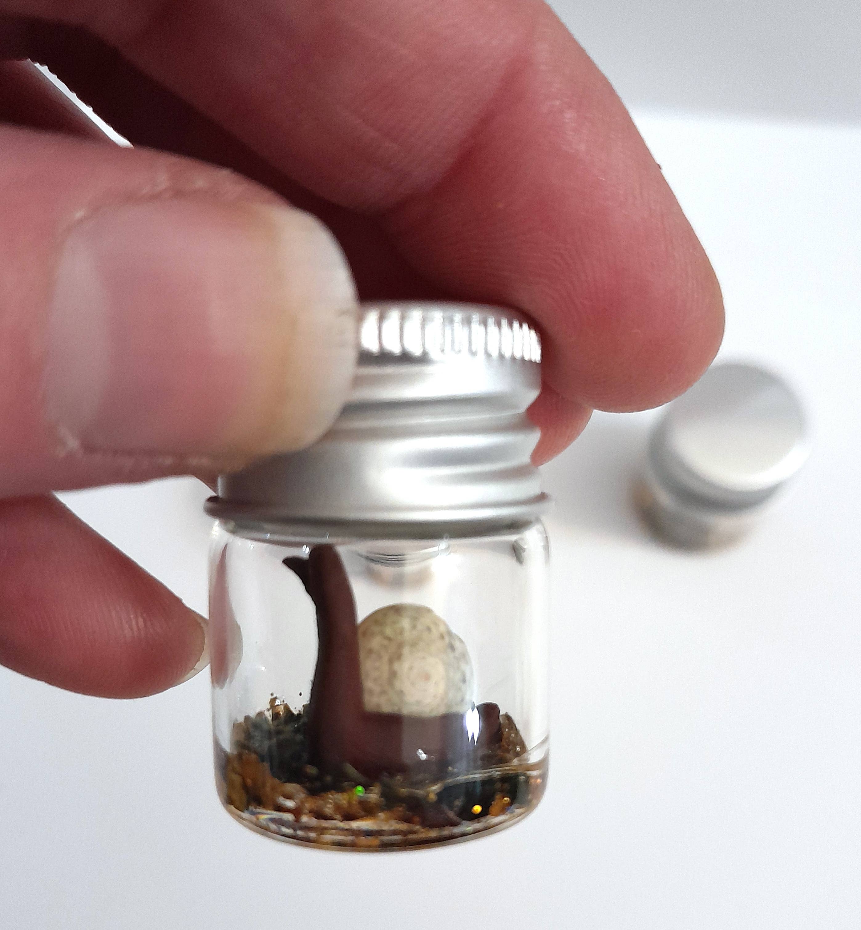 SUPERAWWWSOME - Wholesale Gag Gift/Novelty Gift - Snail Specimen Bottle, Dollhouse Miniature, nature gift jar5