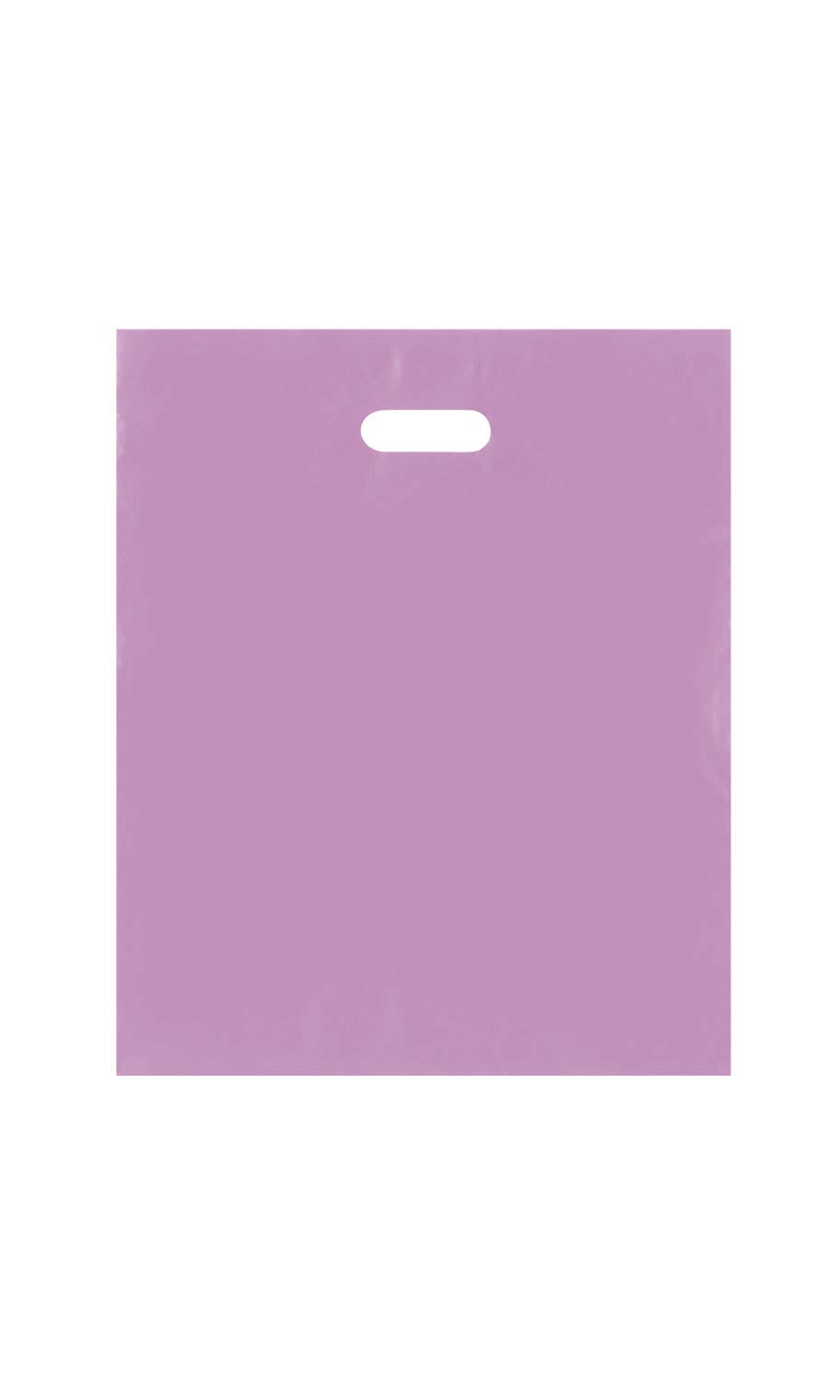 Store Supply Warehouse - Wholesale Gift Bag - Frosted Retail Merchandise Bags7