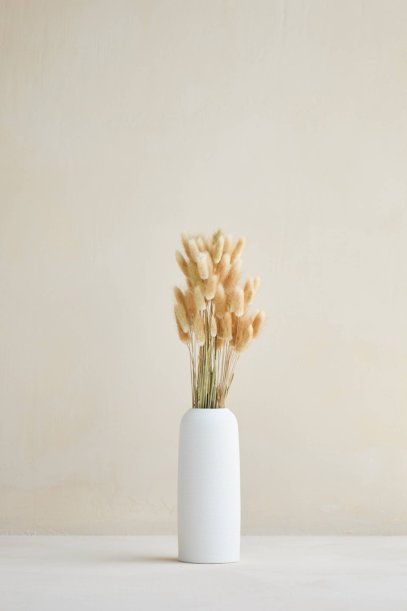 For Love Of Pampas - Vente Fleur séchée/pressée - Bunny Tails Naturel1