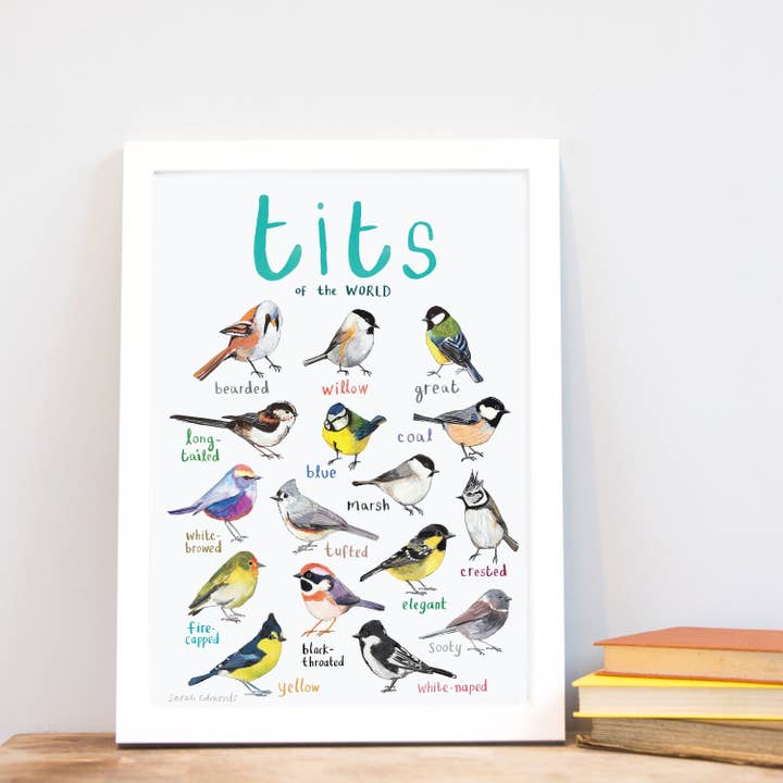 Tits of the WORLD - Vogelkunstdruck - A4 - neue Ausgabe! für den Großhandel von Sarah Edmonds Illustration