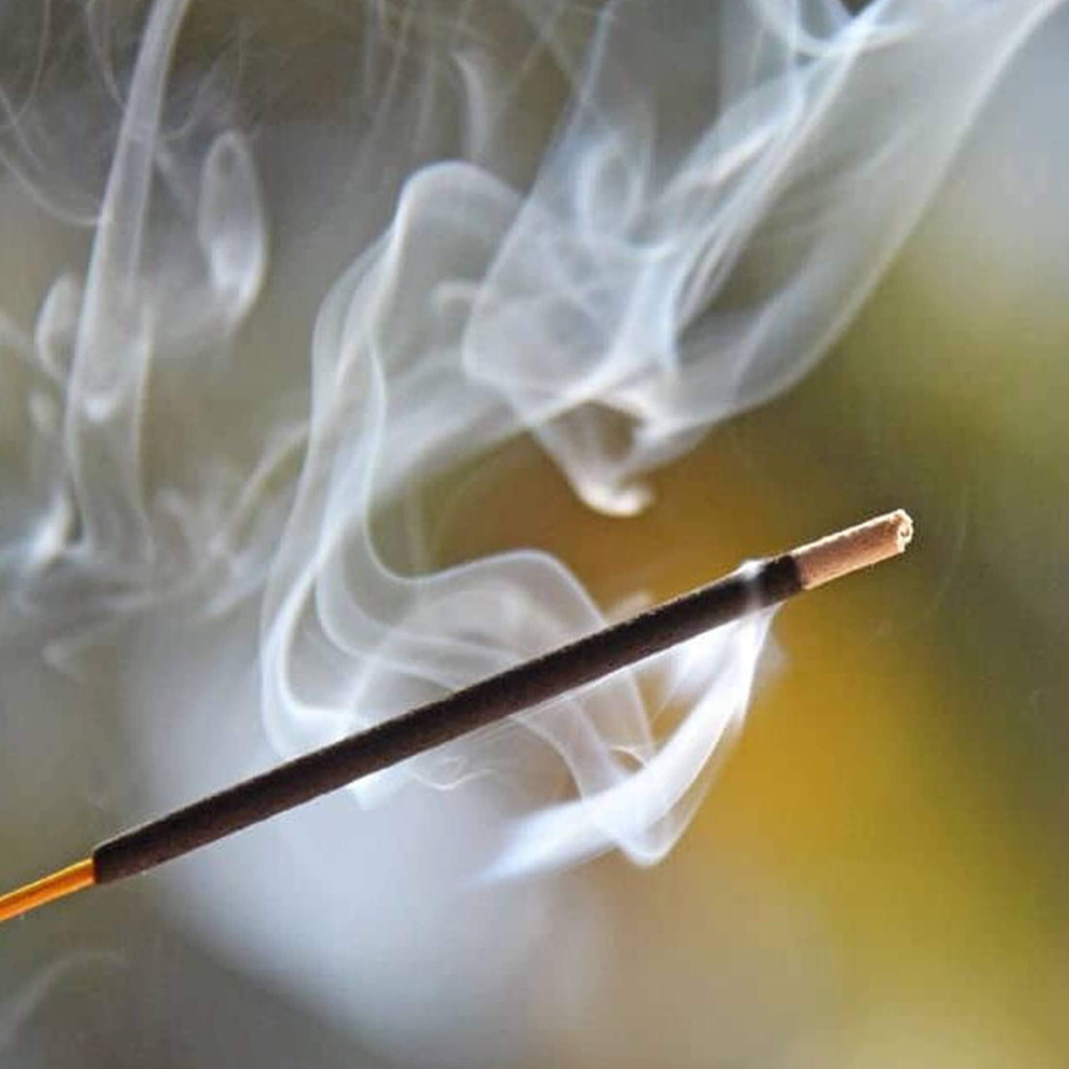 Wild Herb Soap Co - Wholesale Incense - Egyptian Musk Incense Sticks Retail Ready Hang Hole Package1