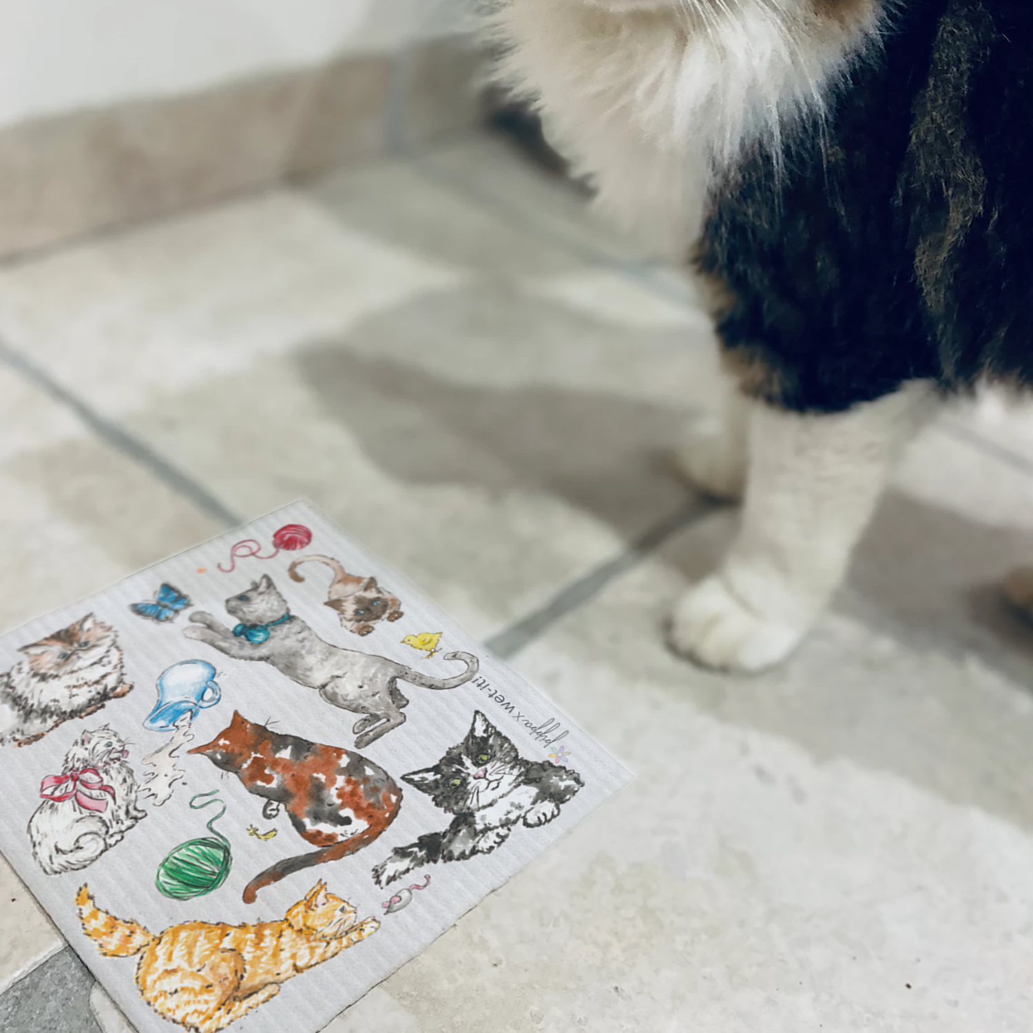 Wet-it! – toalha de cozinha por atacado – Pano sueco felino fino2