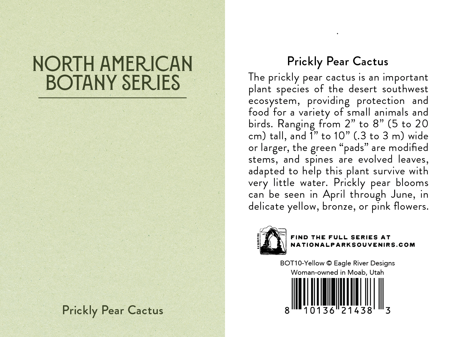 Adventure Booty - Wholesale Lapel Pin/Button - Yellow Prickly Pear Cactus Pin1