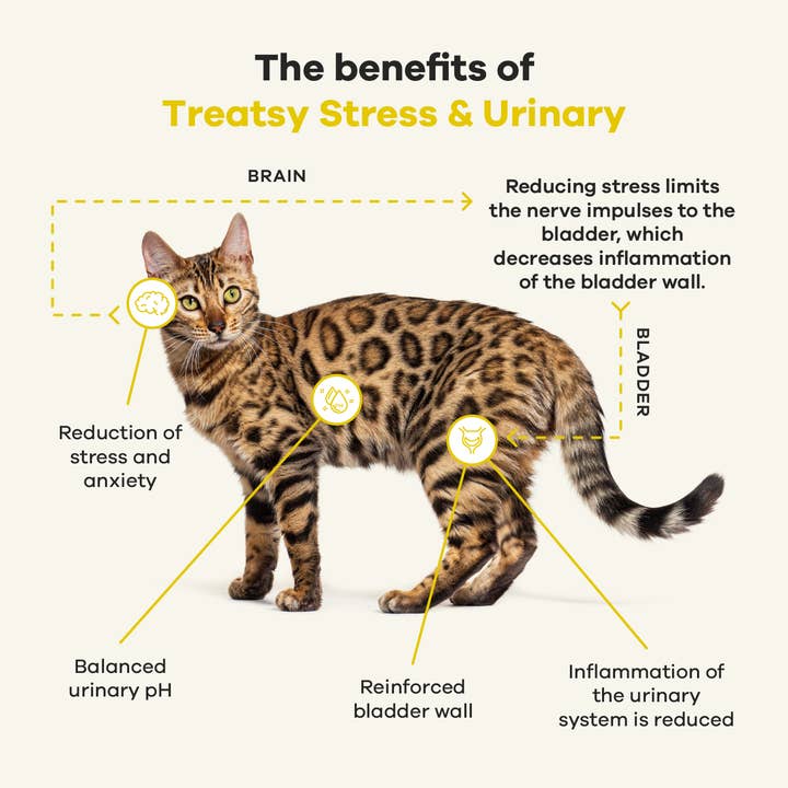 Treatsy - Wholesale Pet Supplement - Cat - Cat Stress & Urinary Supplement | Vet recommended | Fish & C5
