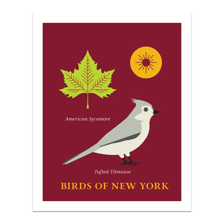 Bold Version Design Co. - Wholesale Art Print - Tufted Titmouse Birds of New York Art Print