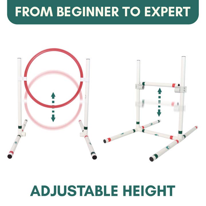 Outdoor Bengal - Wholesale Pet Toy - Cat - CATGILITY™ Agility Kit for Cats6