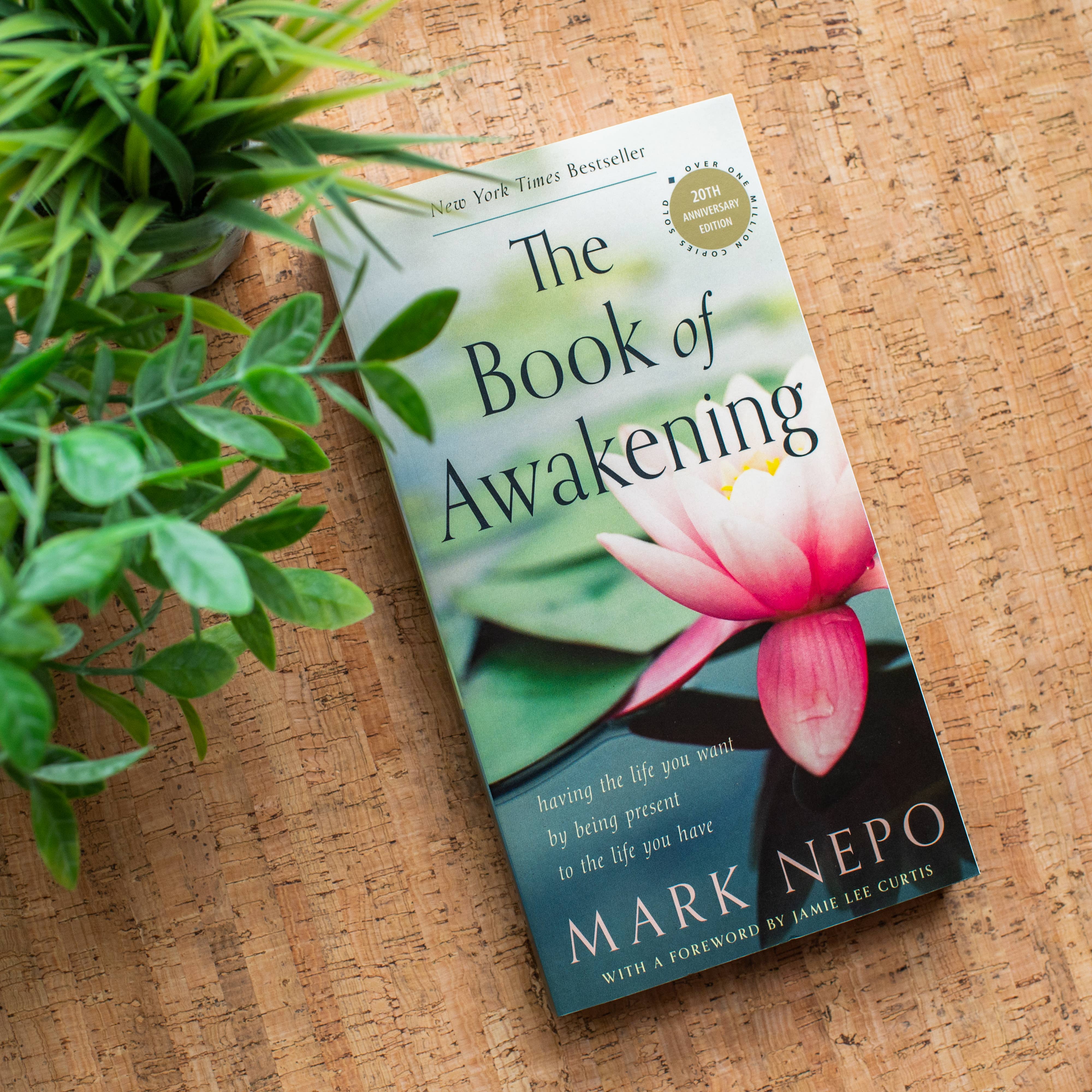 Red Wheel/Weiser LLC - Wholesale Self-Help & Personal Development - The Book of Awakening, 20th Anniversary Edition by Mark Nepo6