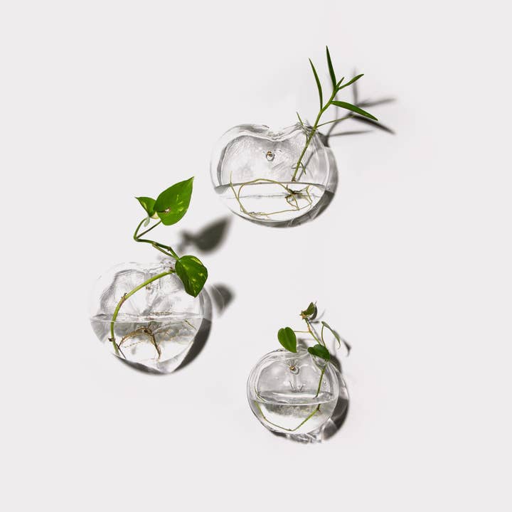 Formation Set of 3 (medium, wall mounted) for wholesale by The Third Rooom