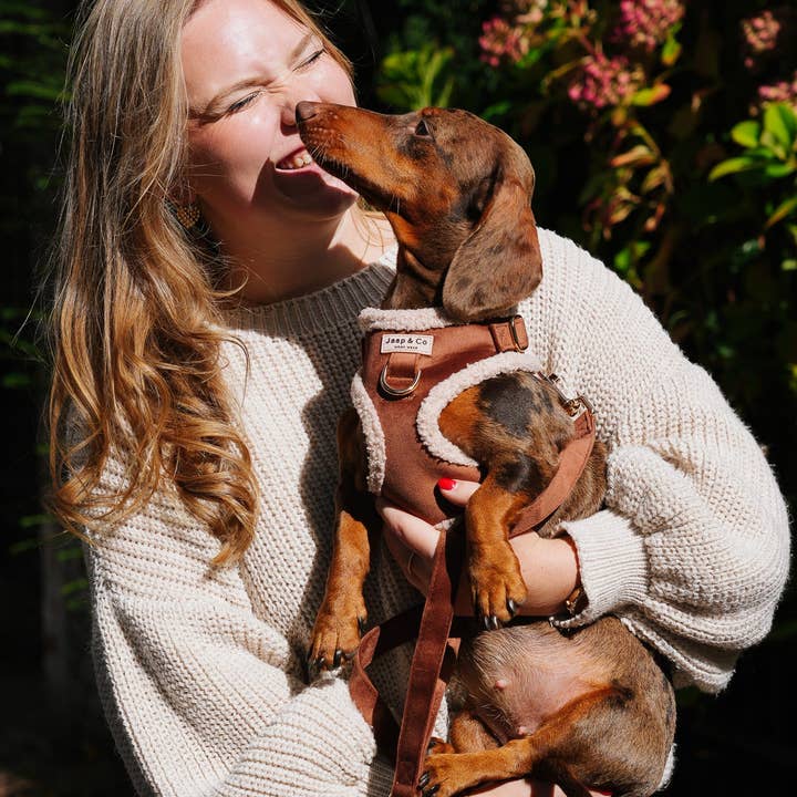 Jaap & Co - Woof Wear - Wholesale Pet Leash - Dog - Soft Season - Dog Leash - PRE-ORDER3