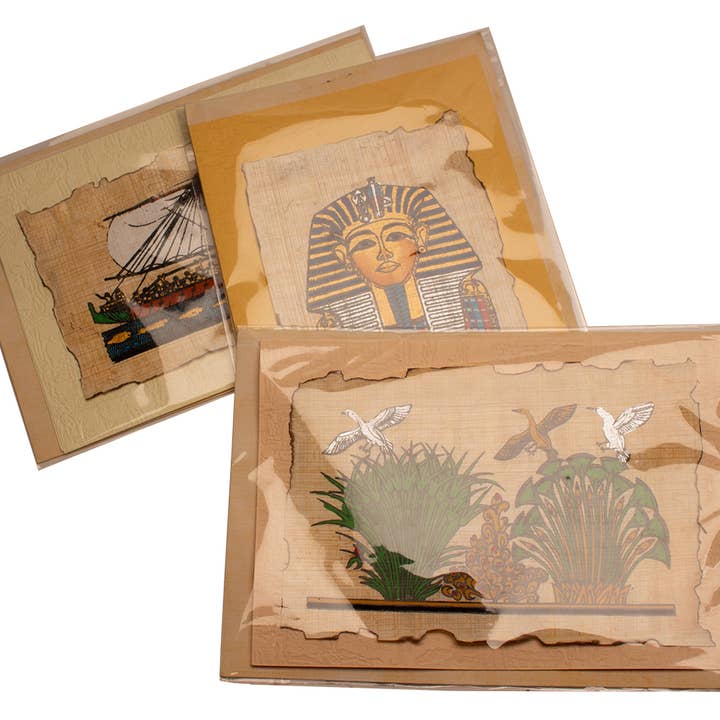 Discoveries, Inc. - Wholesale Everyday Greeting Card - Papyrus Greeting Cards - Assorted Designs2