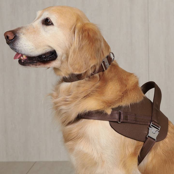 Saddle Harness - Mocha for wholesale by Hozi