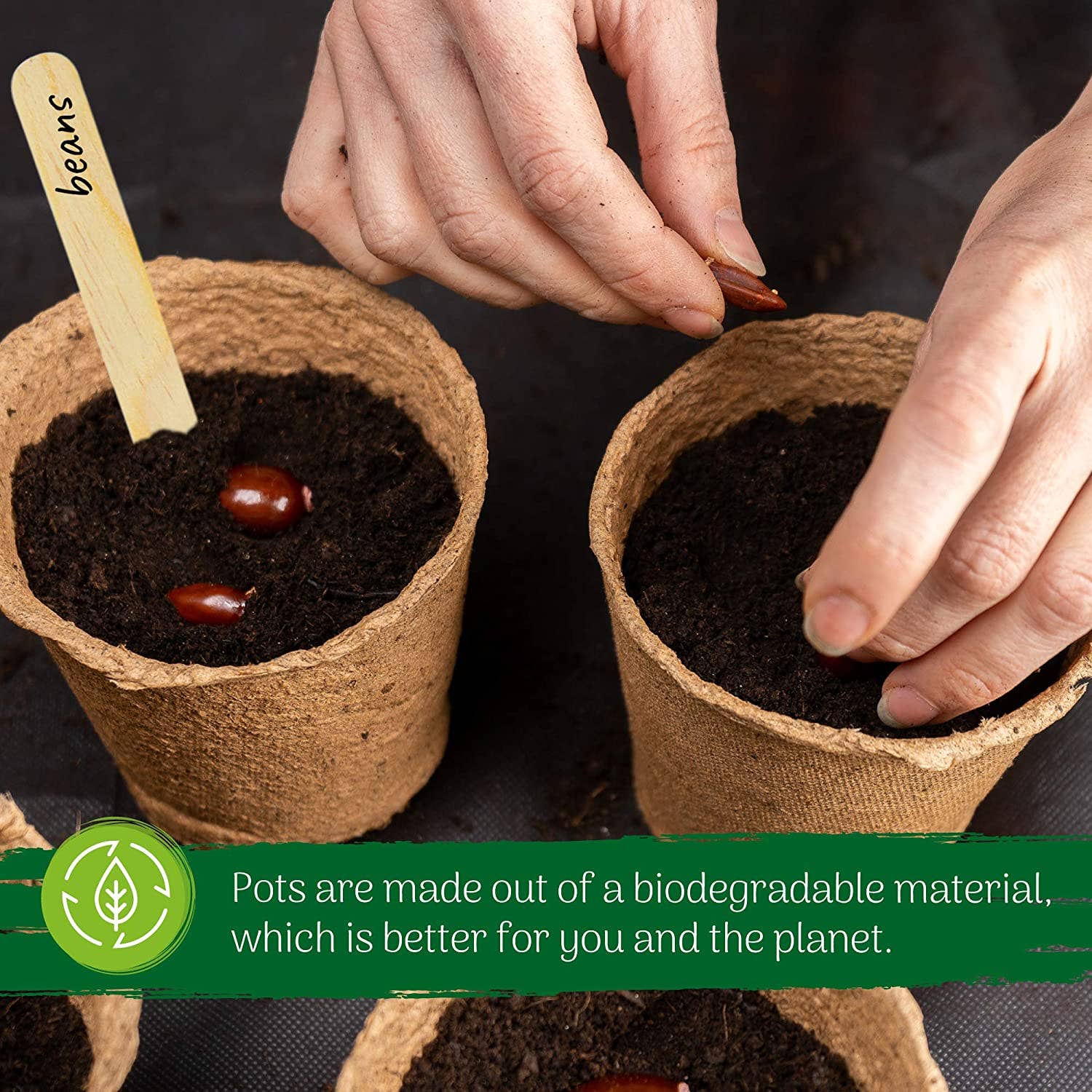 Jara Trading – wholesale Plant pot – Biodegradable Round Fibre Seedling Pots5