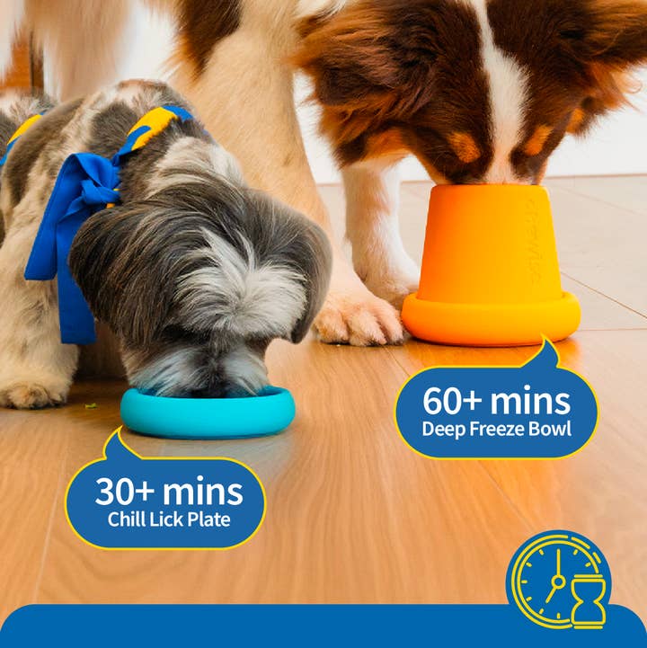 Chewise Official - Wholesale Pet Bowl - Dog - Chewise Freeze Bowls - Standard I 1+ Cup3