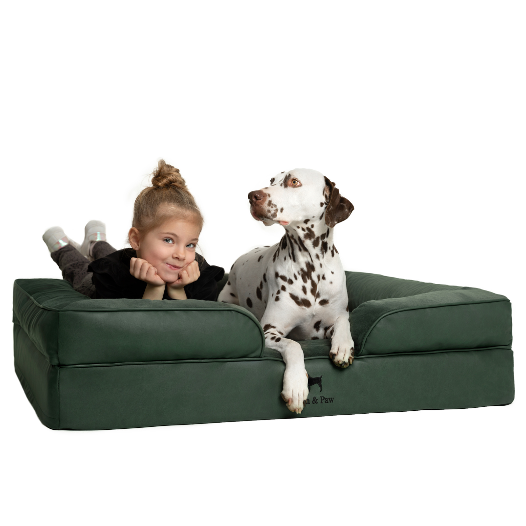 NOAH AND PAW LLC – Großhandel Haustierbett – Katze/Hund – Orthopädisches Hundebett im Sofastil aus Kunstleder mit Memory-Schaum und kühlendem Gel3