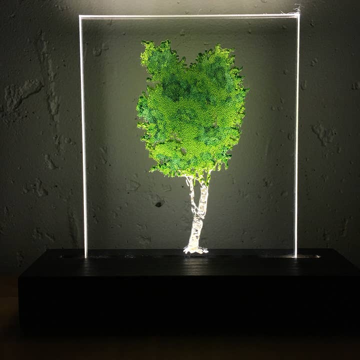 Birch (Light Impression) for wholesale by Art of lamp