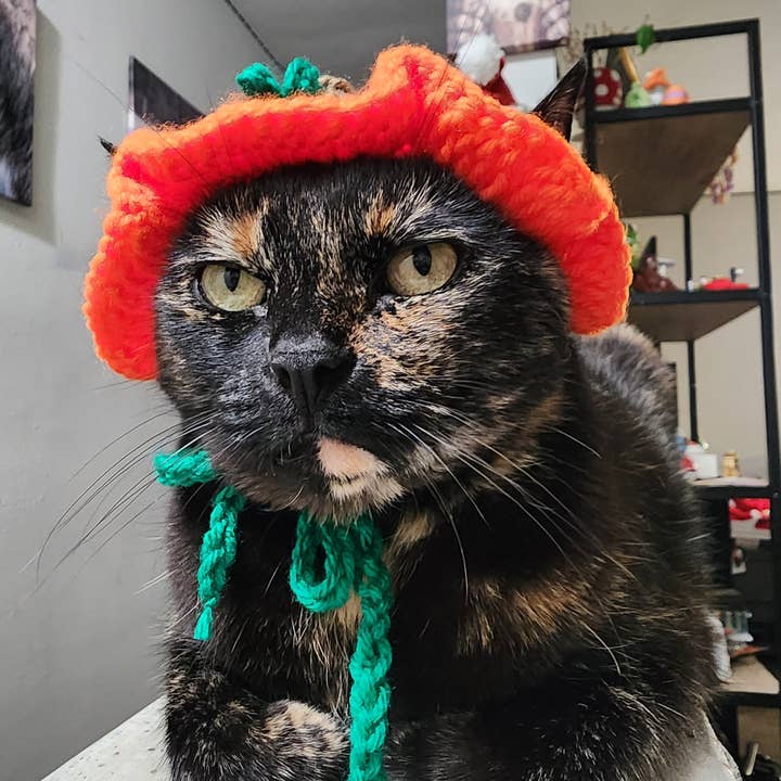 A Creative Wonderland - Wholesale Pet Costume - Cat/Dog - Pumpkin Hat for Cats or Small Dogs