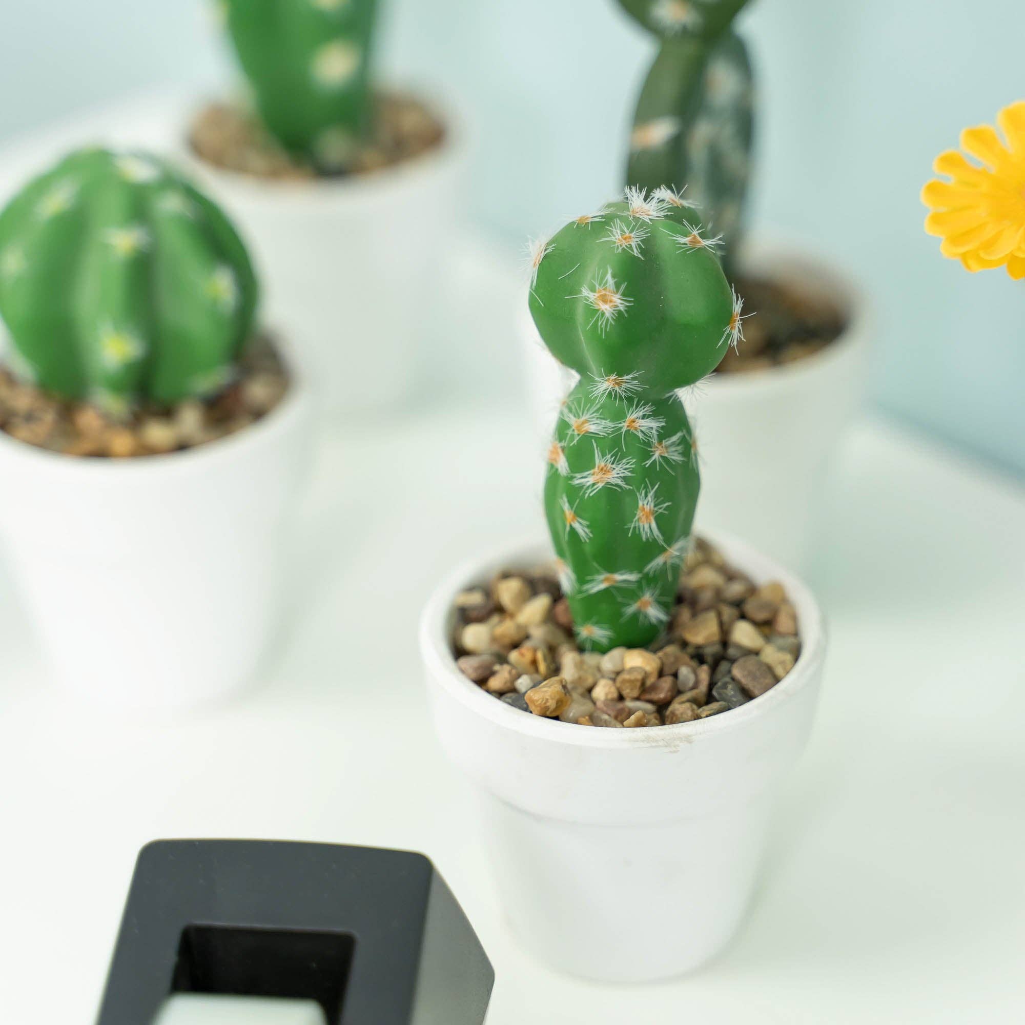 Portofino International Trading, USA - Wholesale Artificial Plant - Artificial Assorted Potted Cactus - Set of 1210