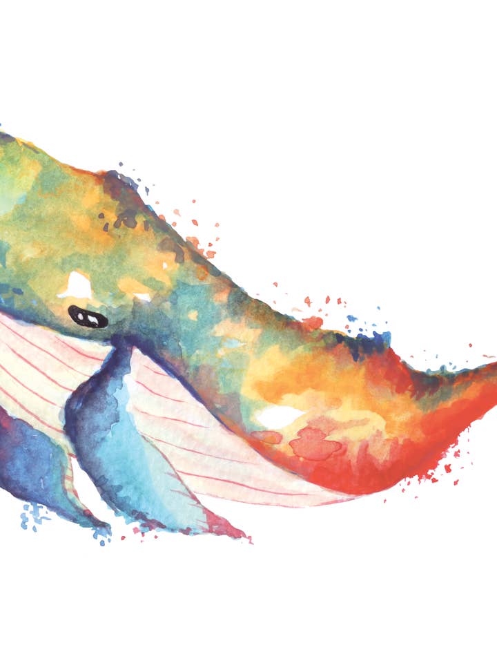 Aquarell Wal für den Großhandel von Blossom & Bloom