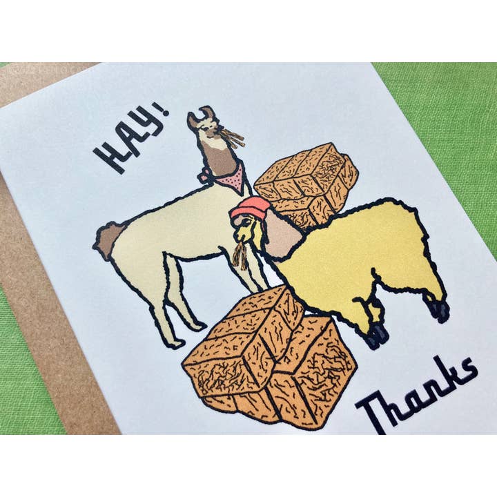 HEI LO CARDS - Wholesale Thank You Card - "Hay! Thanks" Llama & Alpaca Thank You Card