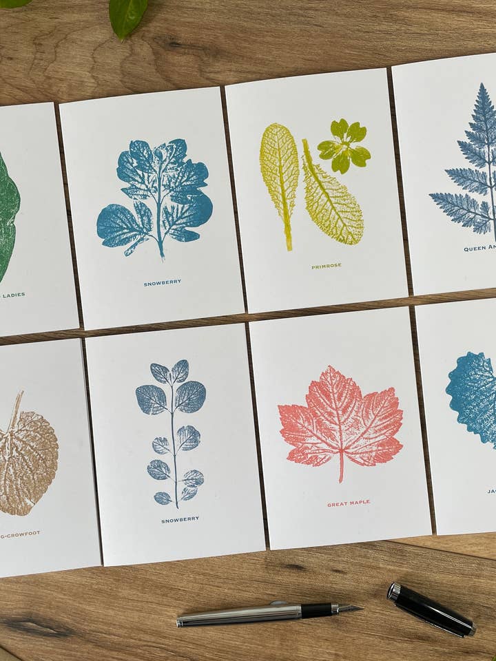 8 pk Botanical Greeting Cards - boxed for wholesale by Jackdaw and Bear