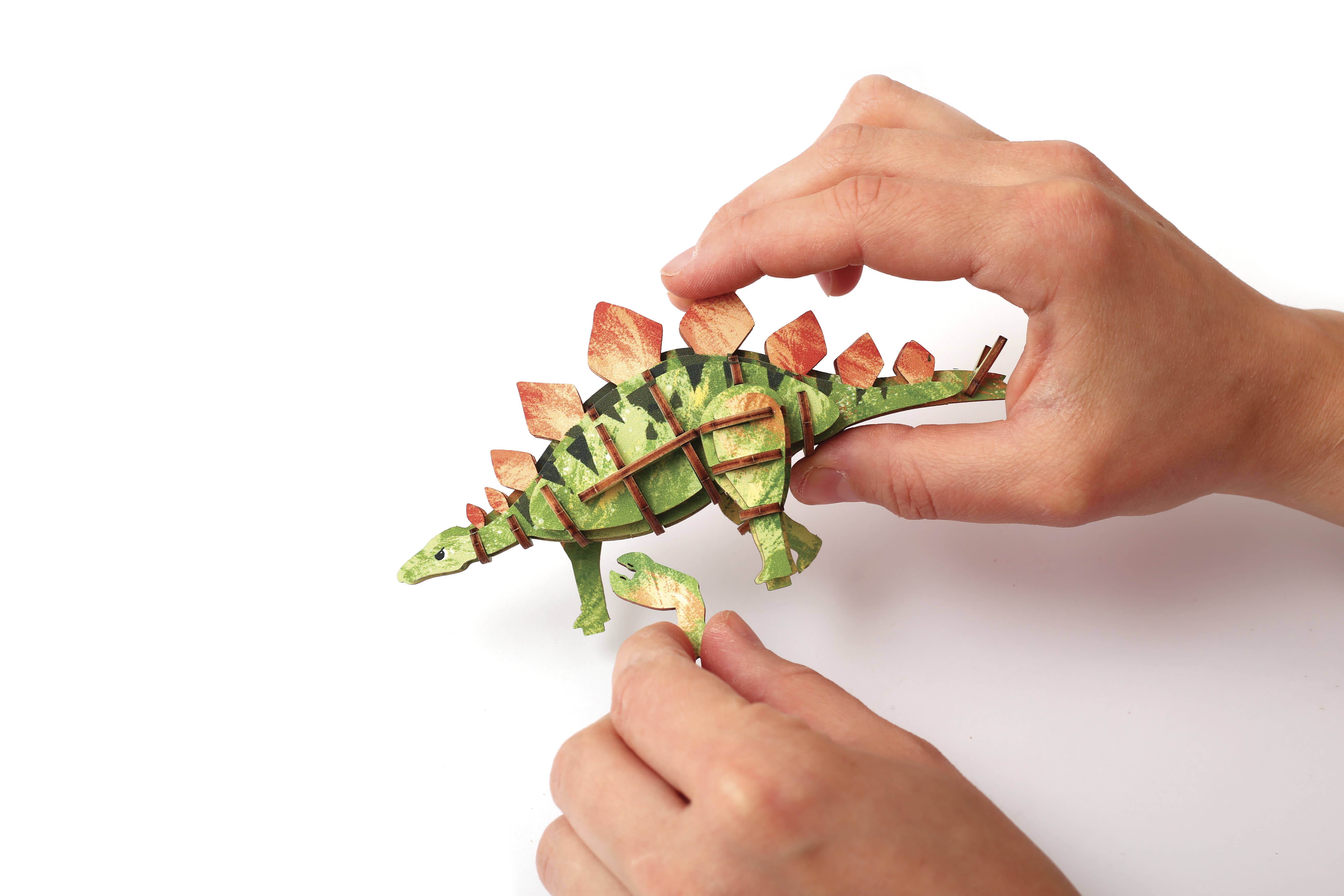 Graine Créative - Wholesale DIY Craft Kit - Kids - 3D WOODEN MODEL STEGOSAURUS8