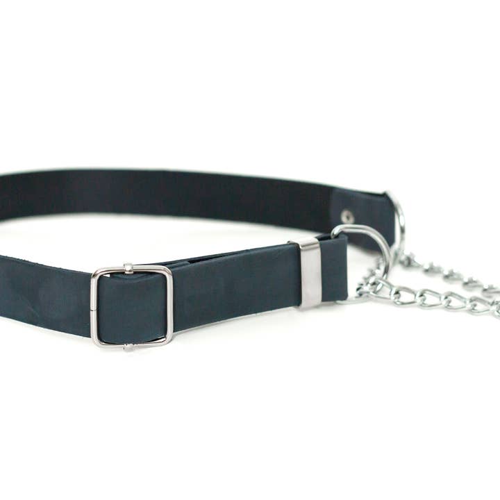 Euro-Dog Collars and Leads - Wholesale Pet Collar - Dog - Leather Dog Collar Martingale Soft Modern Style1