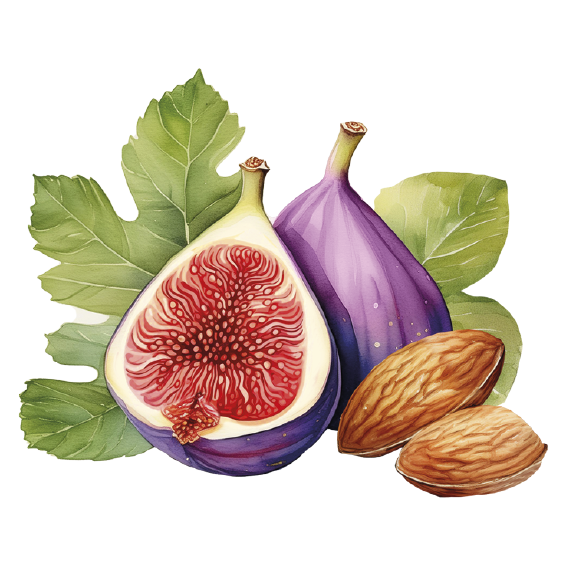 Lady Joseph - Vente Biscuit salé - Pain aux figues et amandes en portions individuelles, sans gluten, végan4