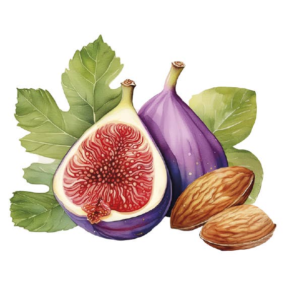 Lady Joseph - Wholesale Crackers - Fig and almond bread. In portions. Gluten free. Vegan4