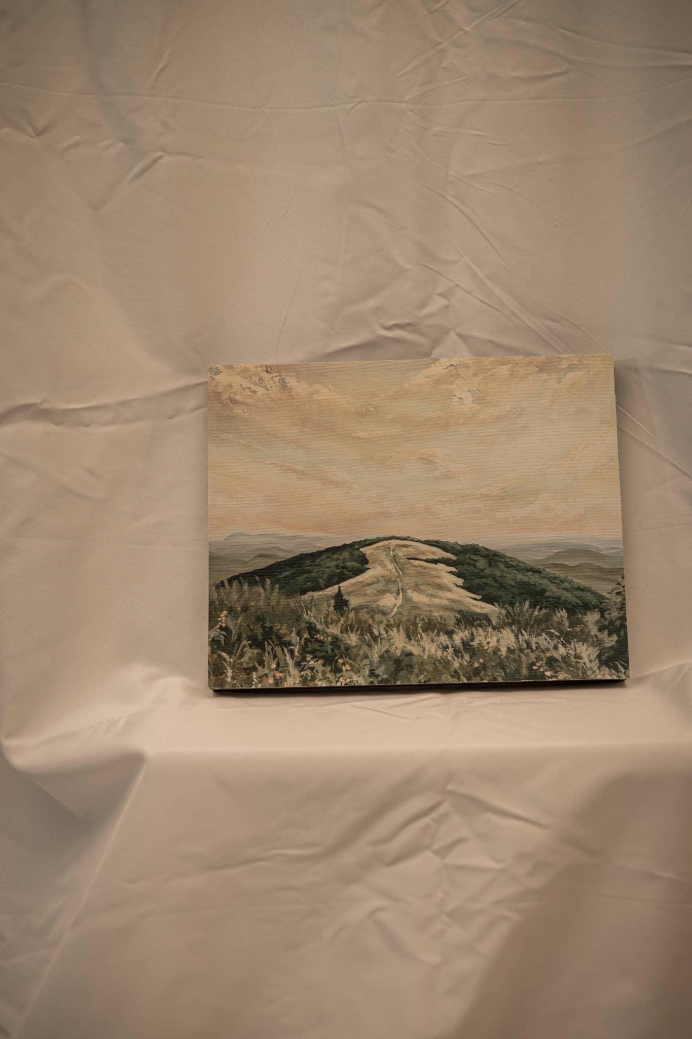 Lewa Studio - Wholesale Art Print - "A Walk to the Top" Fine Art Giclée Canvas Panel 7