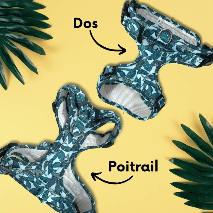 Arizona Hotdogs - Wholesale Pet Harness - Dog - Dog Grip Harness - Amazonia4